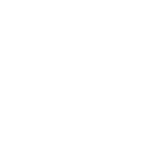 Platform Portability